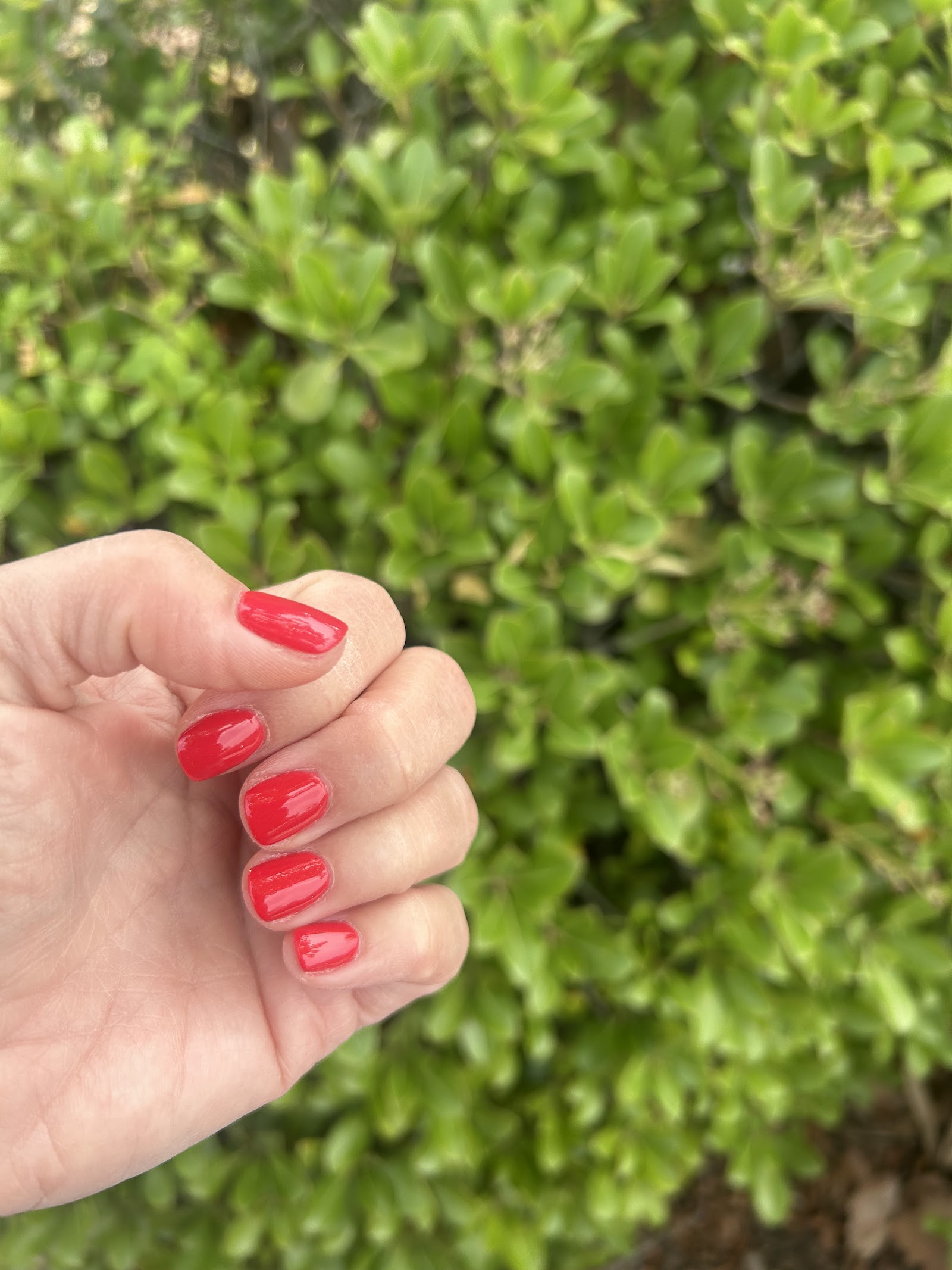 Market Common Nail Spa nail photo 3